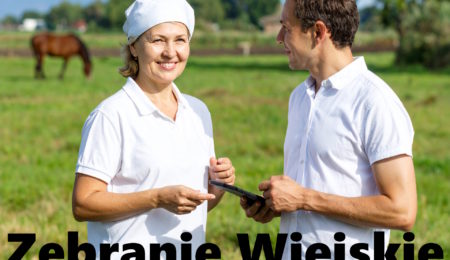 Zaproszenie na Zebranie Wiejskie w Gierałtowicach 15 września 2026 roku