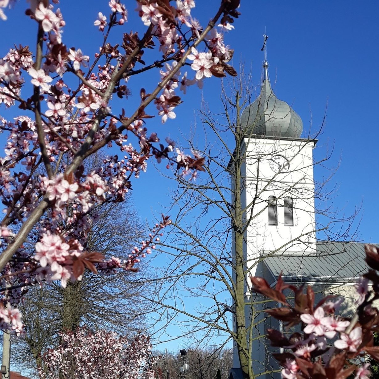 Parafia rzymskokatolicka p.w. św. Urbana w Paniówkach