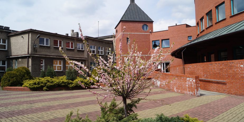 Zespół Szkolno – Przedszkolny w Przyszowicach